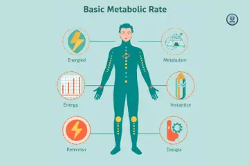 Signs of Low or High BMR