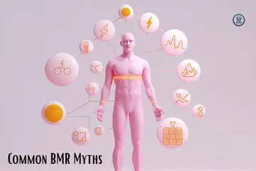 Common BMR Myths
