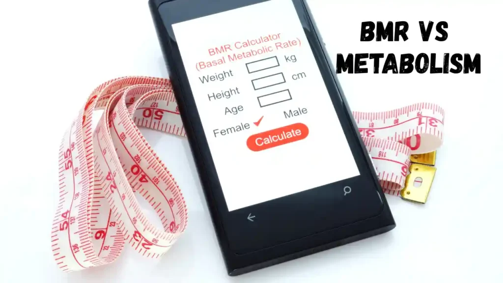 BMR vs Metabolism