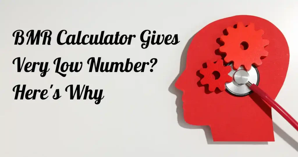 BMR Calculator Gives Very Low Number? Here's Why
