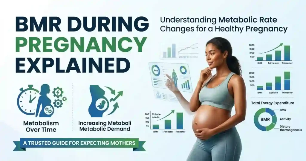 bmr during pregnancy explained